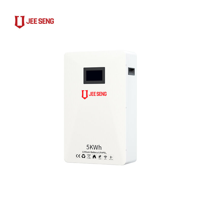 Système de stockage d'énergie à domicile monté sur le mur de 5 KWh avec technologie BMS avancée pour le système d'énergie solaire