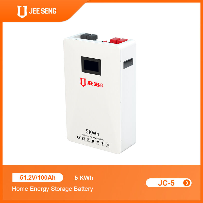 Système de stockage d'énergie à domicile monté sur le mur de 5 KWh avec technologie BMS avancée pour le système d'énergie solaire