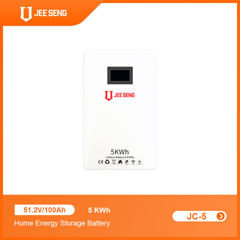 Système de stockage d'énergie à domicile monté sur le mur de 5 KWh avec technologie BMS avancée pour le système d'énergie solaire