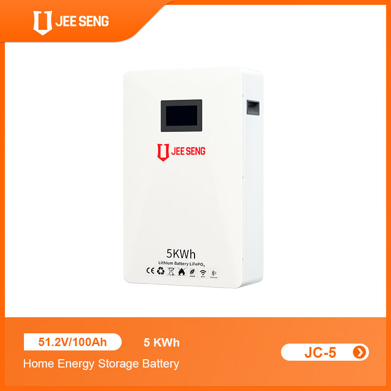 Système de stockage d'énergie à domicile monté sur le mur de 5 KWh avec technologie BMS avancée pour le système d'énergie solaire
