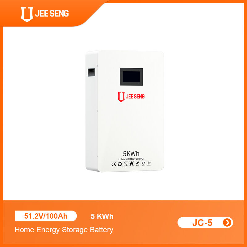 Système de stockage d'énergie à domicile monté sur le mur de 5 KWh avec technologie BMS avancée pour le système d'énergie solaire